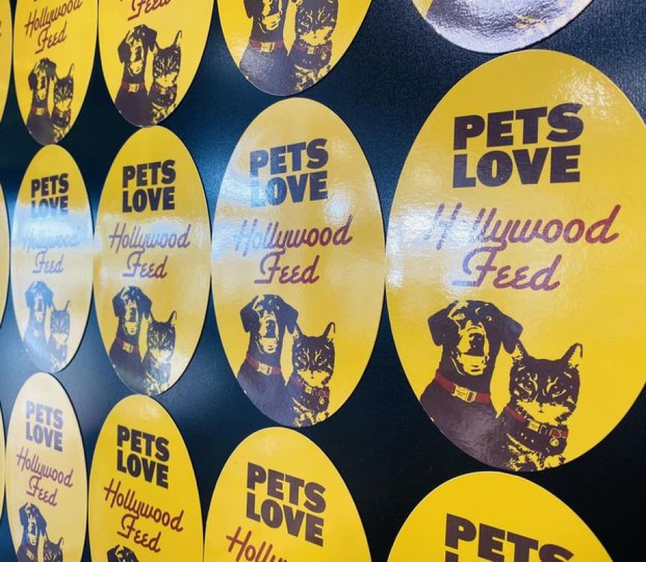 Hollywood Fee Magnets
