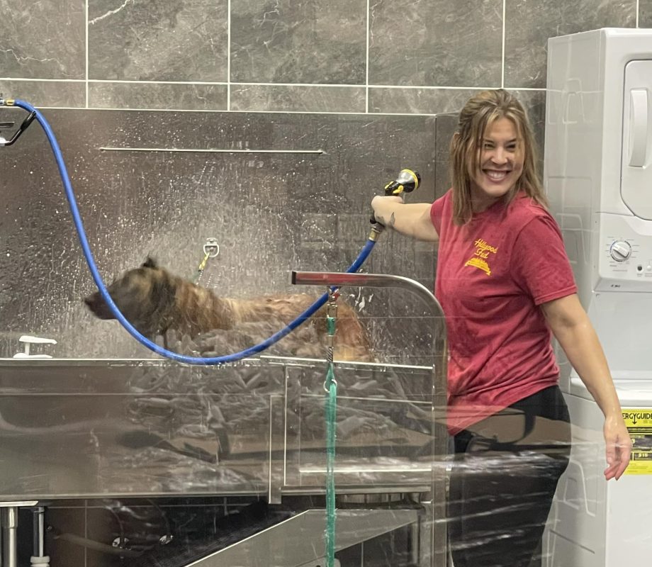Hollywood Feed Staff getting bath to a Dog