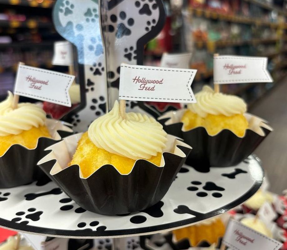 Hollywood Feed Baked treats