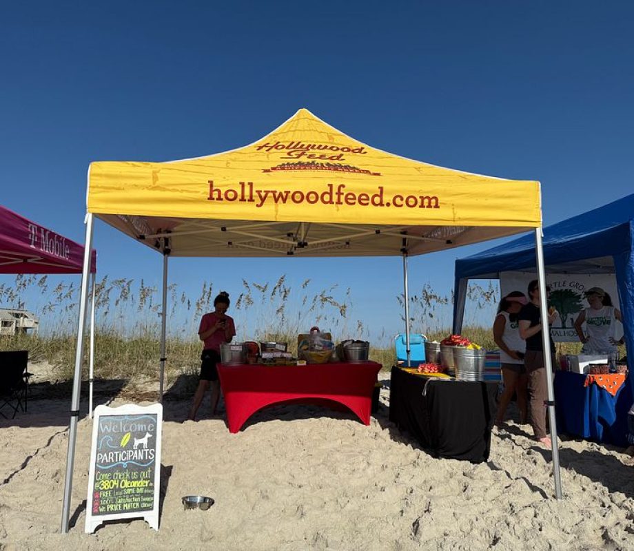 Hollywood Feed Stall