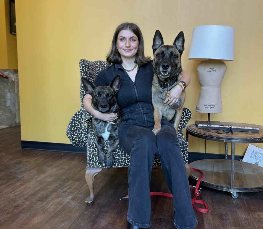 Hollywood Feed Staff with their Dogs