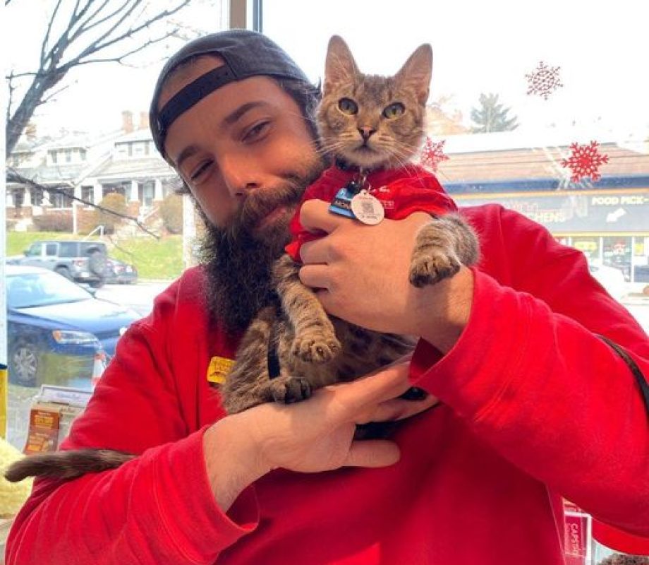 Hollywood Feed Staff with a Cat