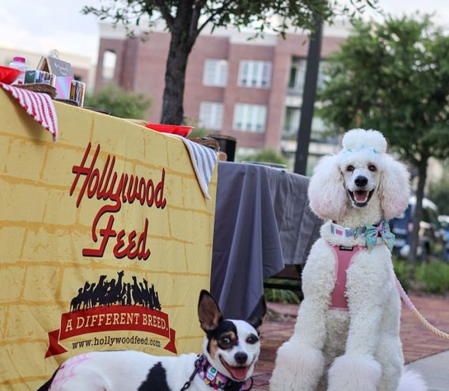 Dogs posing right beside the Hollywood Feed Stall