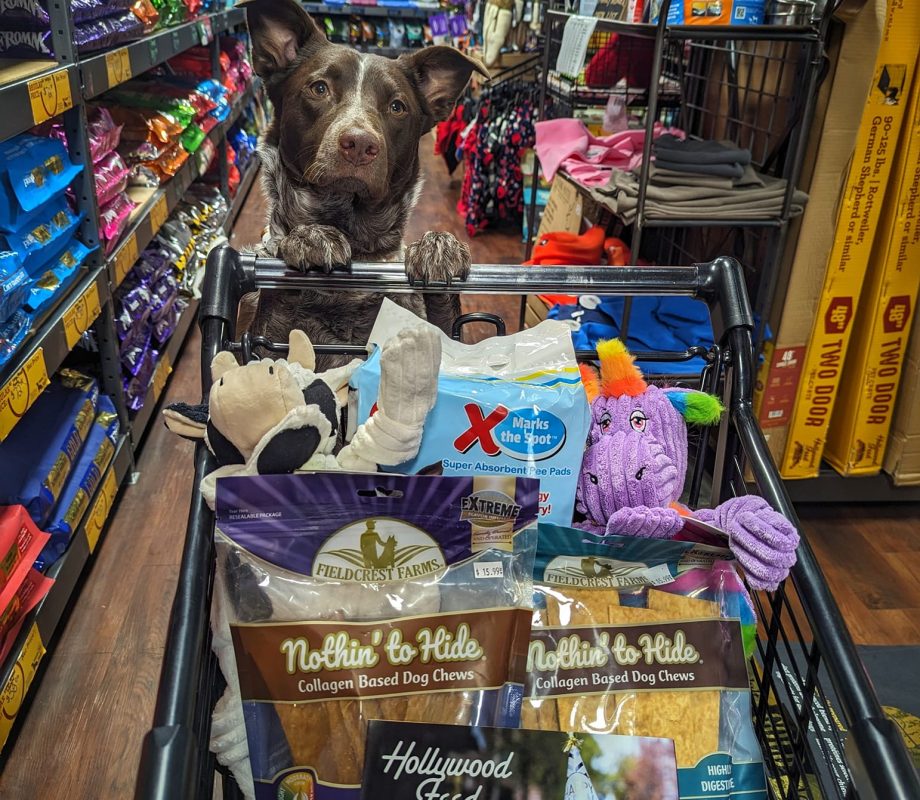 Pet food on cart at Hollywood Feed Store